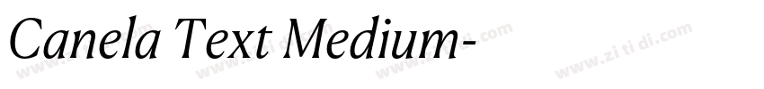 Canela Text Medium字体转换